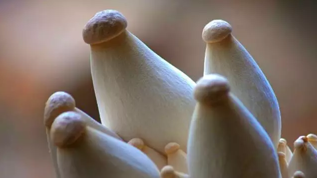 http://m.samuynati.com/ewebeditor/uploadfile/20170914091357269001.png